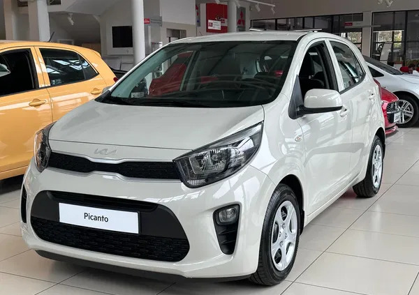 kia picanto Kia Picanto cena 62400 przebieg: 5, rok produkcji 2024 z Gdynia